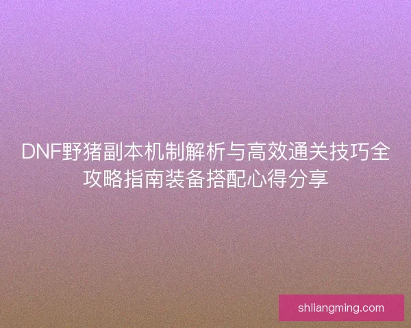 DNF野猪副本机制解析与高效通关技巧全攻略指南装备搭配心得分享
