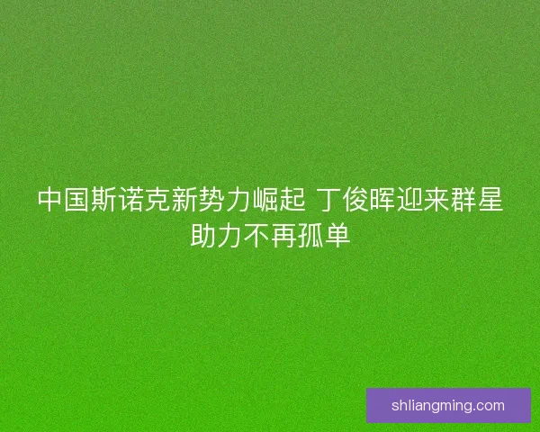 中国斯诺克新势力崛起 丁俊晖迎来群星助力不再孤单