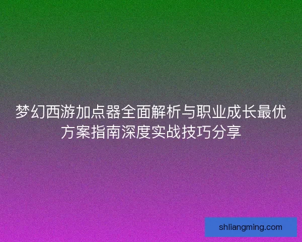 梦幻西游加点器全面解析与职业成长最优方案指南深度实战技巧分享